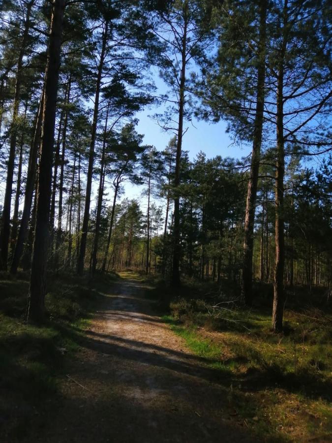 Domek Na Lesnej Pogorzelica  Exteriér fotografie